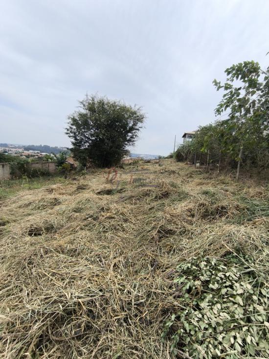lote-venda-pedra-branca-sao-joaquim-de-bicas-1111839