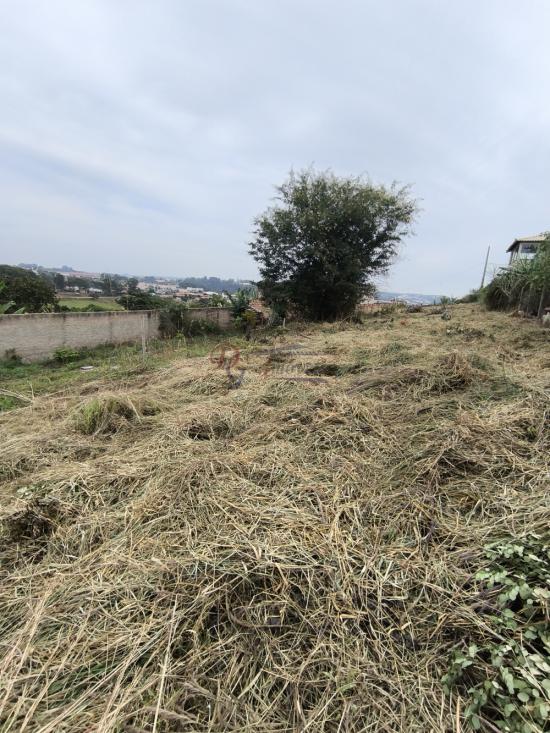 lote-venda-pedra-branca-sao-joaquim-de-bicas-1111840