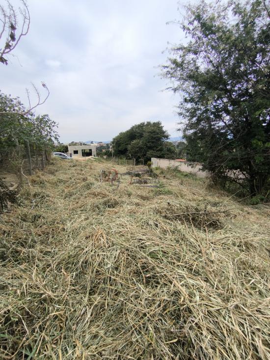 lote-venda-pedra-branca-sao-joaquim-de-bicas-1111849