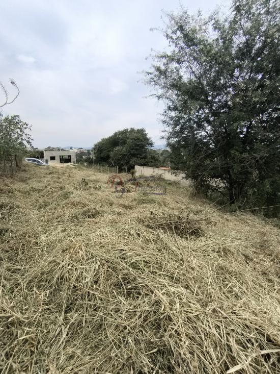 lote-venda-pedra-branca-sao-joaquim-de-bicas-1111850