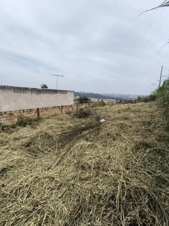 lote-venda-pedra-branca-sao-joaquim-de-bicas-1111851