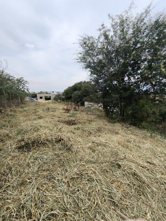 lote-venda-pedra-branca-sao-joaquim-de-bicas-1111853