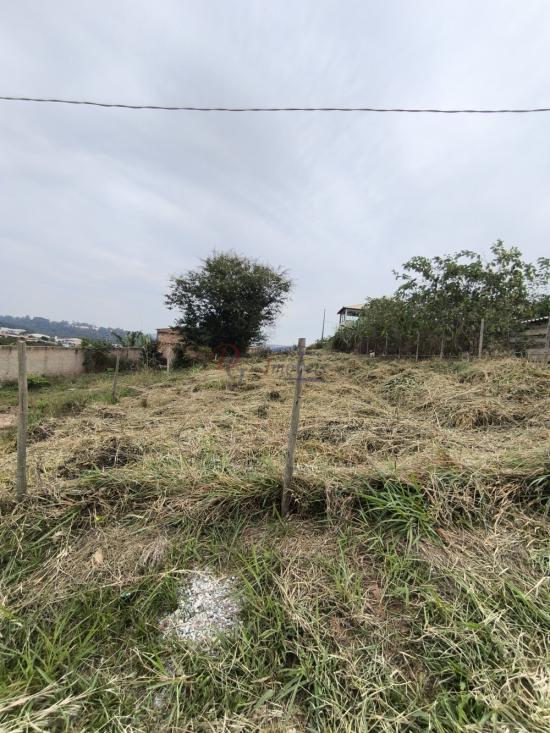 lote-venda-pedra-branca-sao-joaquim-de-bicas-1111857