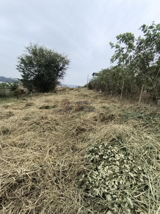 lote-venda-pedra-branca-sao-joaquim-de-bicas-1111841