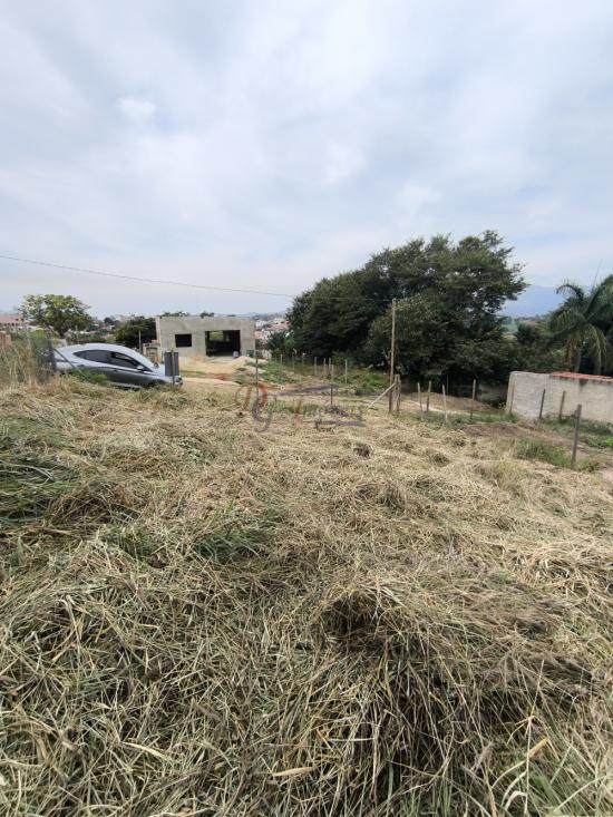lote-venda-pedra-branca-sao-joaquim-de-bicas-1111842