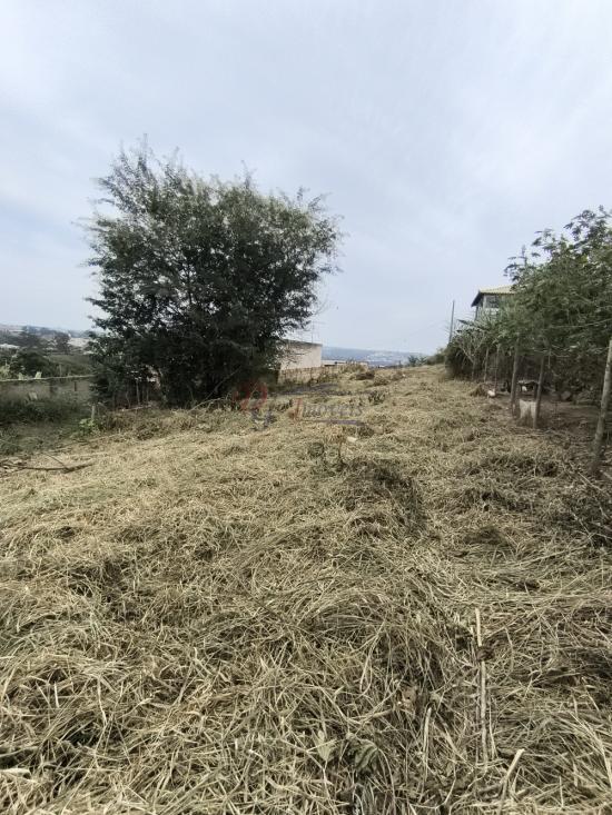 lote-venda-pedra-branca-sao-joaquim-de-bicas-1111844