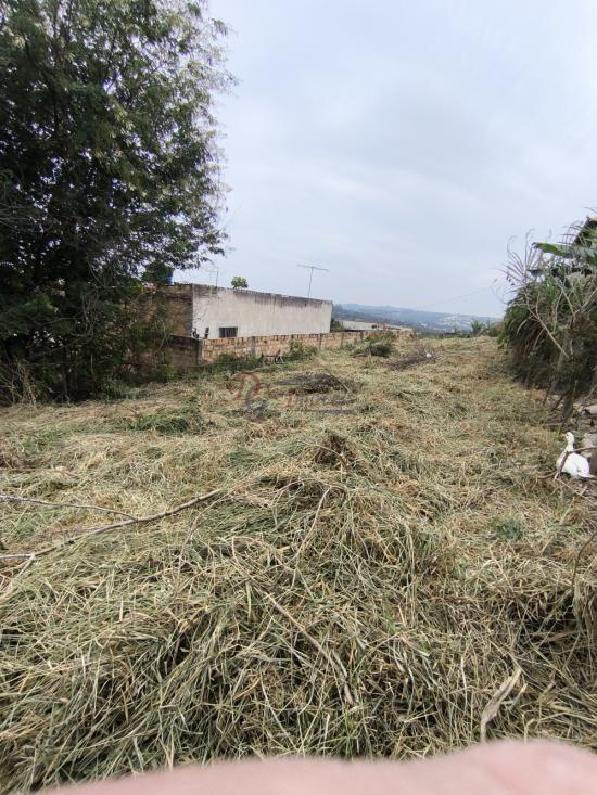 lote-venda-pedra-branca-sao-joaquim-de-bicas-1111845