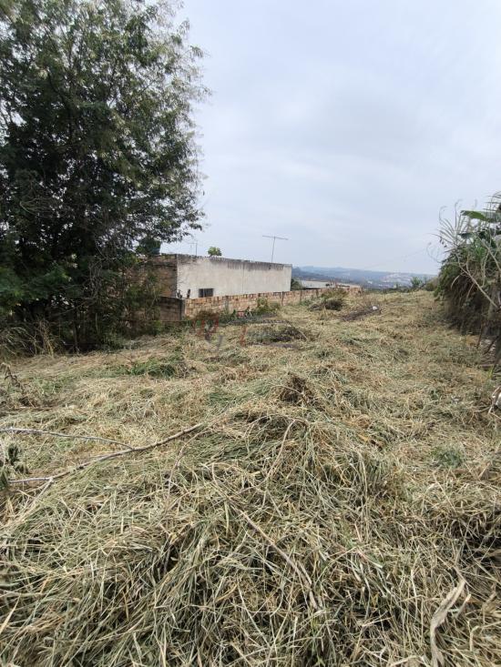 lote-venda-pedra-branca-sao-joaquim-de-bicas-1111846