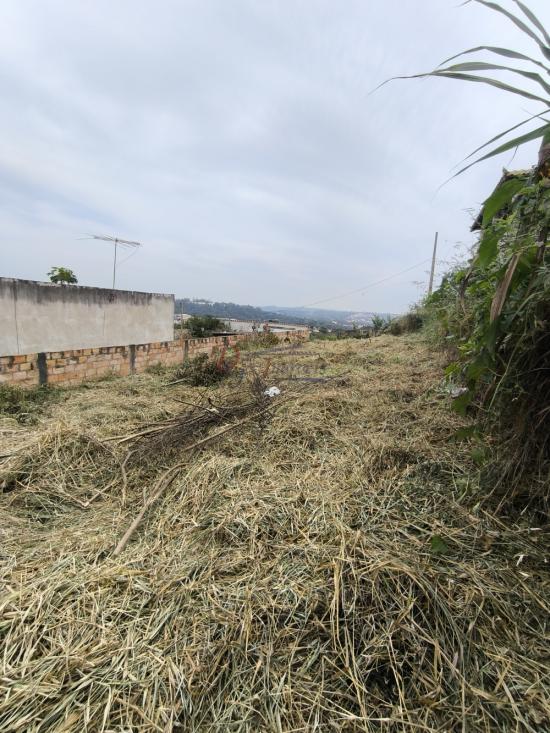 lote-venda-pedra-branca-sao-joaquim-de-bicas-1111848