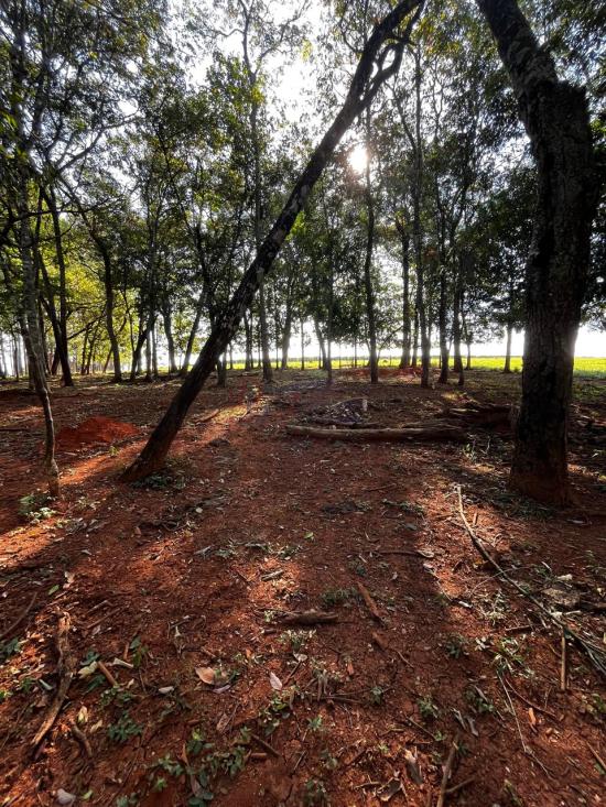 fazenda-venda-fazenda-araras-bambui-mg-1105274
