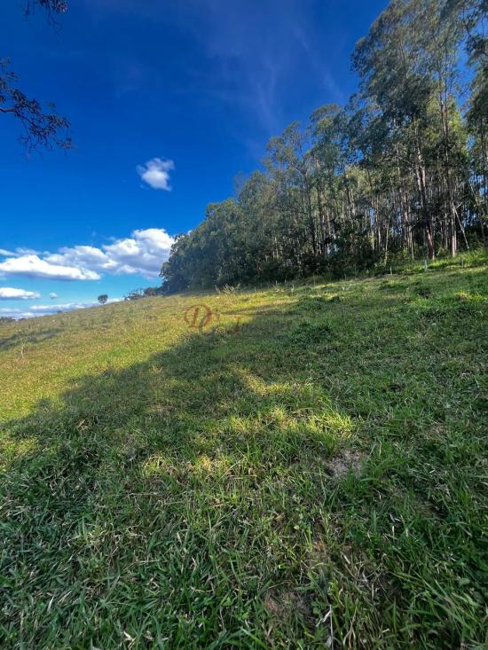 fazenda-venda-fazenda-araras-bambui-mg-1105284