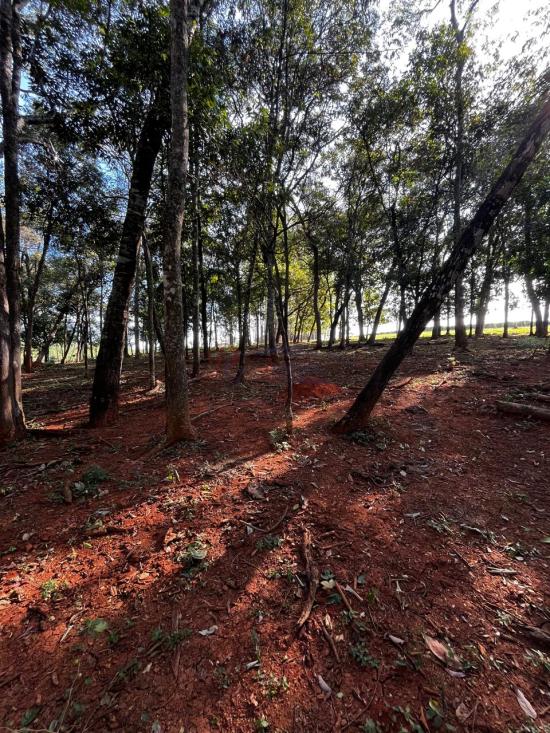 fazenda-venda-fazenda-araras-bambui-mg-1105285