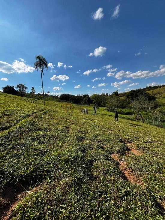 fazenda-venda-fazenda-araras-bambui-mg-1105287