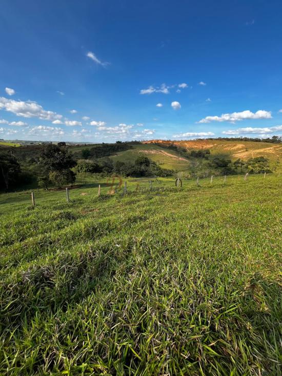 fazenda-venda-fazenda-araras-bambui-mg-1105288