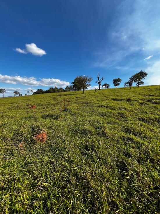 fazenda-venda-fazenda-araras-bambui-mg-1105289