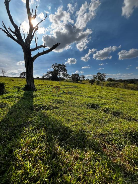 fazenda-venda-fazenda-araras-bambui-mg-1105290