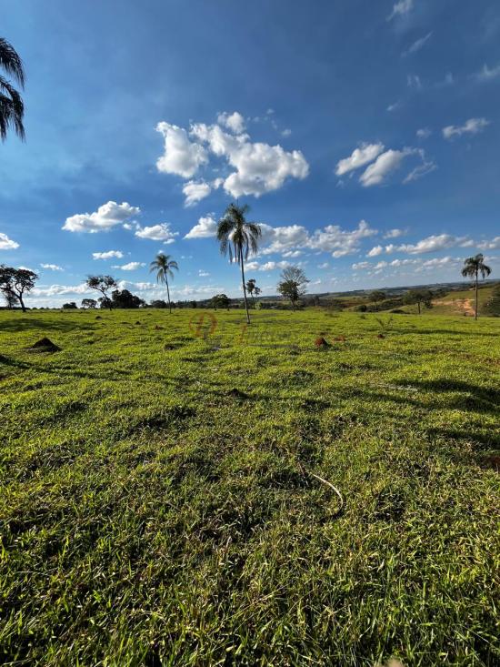 fazenda-venda-fazenda-araras-bambui-mg-1105291