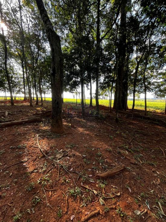 fazenda-venda-fazenda-araras-bambui-mg-1105276