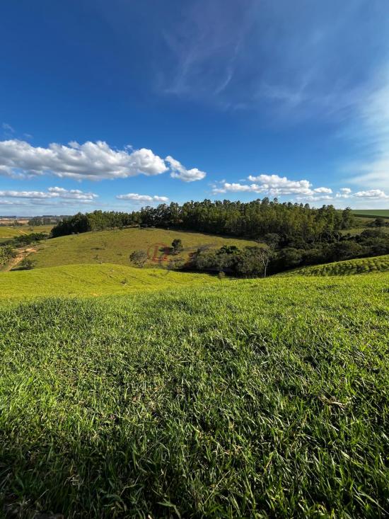 fazenda-venda-fazenda-araras-bambui-mg-1105277