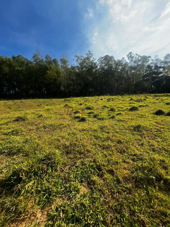 fazenda-venda-fazenda-araras-bambui-mg-1105279