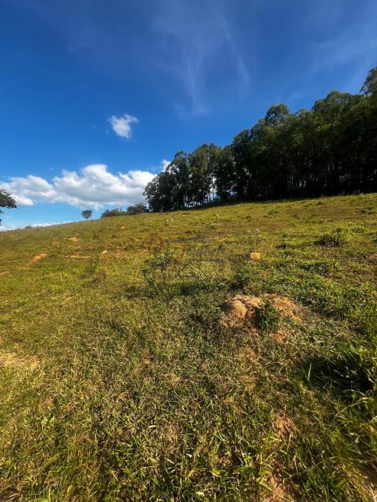 fazenda-venda-fazenda-araras-bambui-mg-1105280