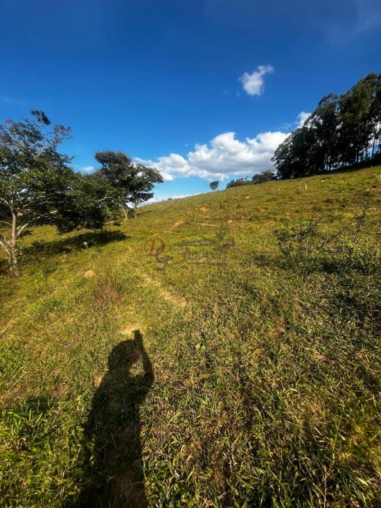 fazenda-venda-fazenda-araras-bambui-mg-1105281