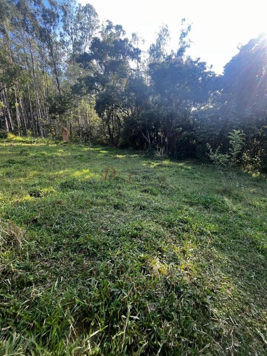 fazenda-venda-fazenda-araras-bambui-mg-1105282