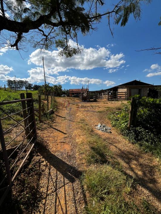fazenda-venda-fazenda-araras-bambui-mg-1105304