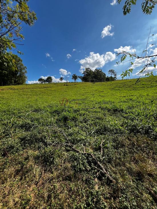 fazenda-venda-fazenda-araras-bambui-mg-1105305