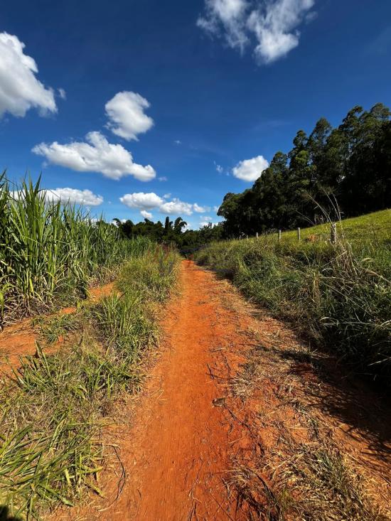 fazenda-venda-fazenda-araras-bambui-mg-1105306