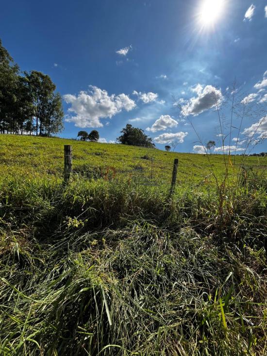 fazenda-venda-fazenda-araras-bambui-mg-1105307