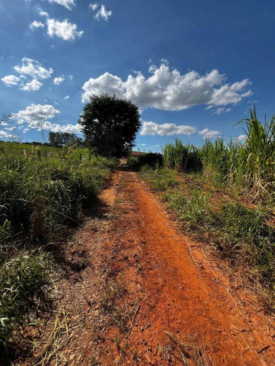 fazenda-venda-fazenda-araras-bambui-mg-1105308