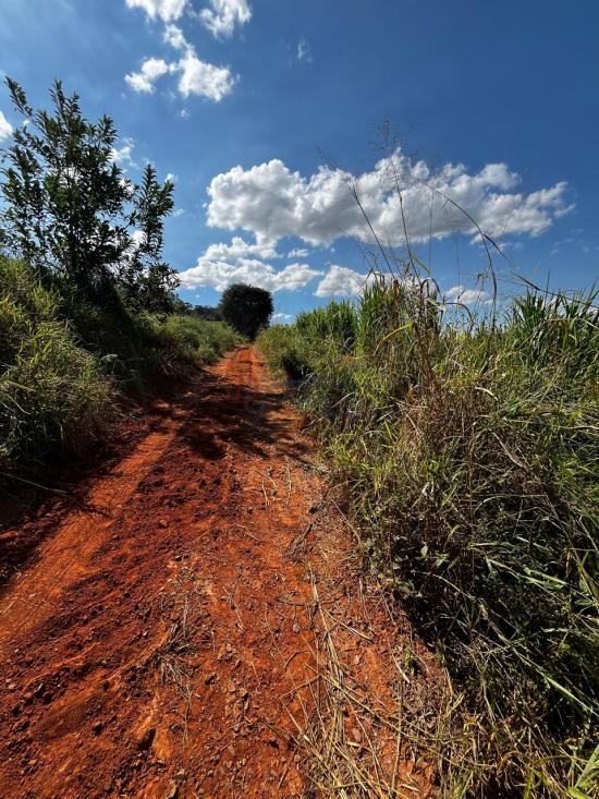 fazenda-venda-fazenda-araras-bambui-mg-1105310