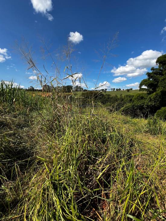 fazenda-venda-fazenda-araras-bambui-mg-1105311