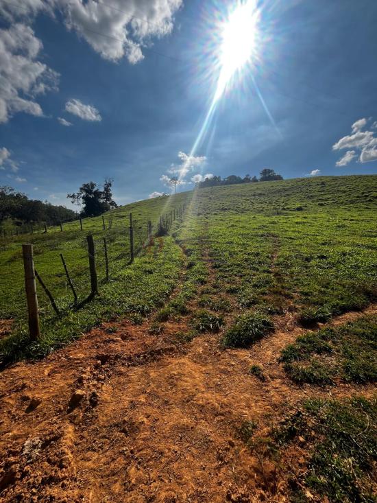 fazenda-venda-fazenda-araras-bambui-mg-1105297