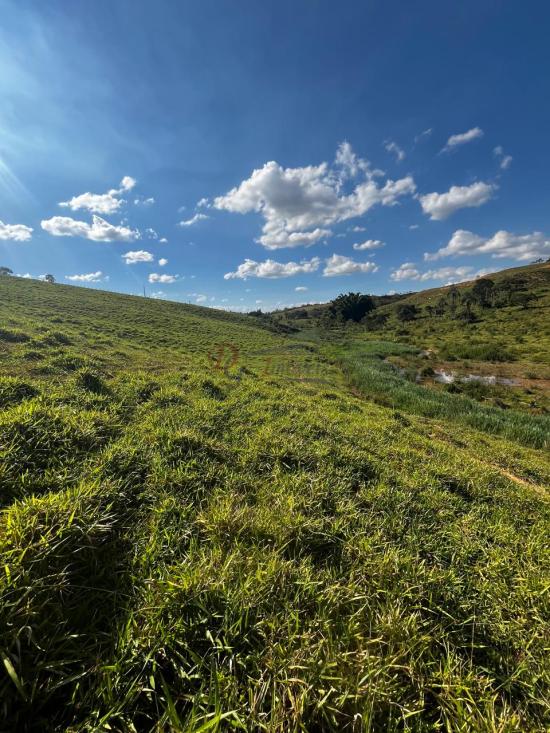 fazenda-venda-fazenda-araras-bambui-mg-1105300