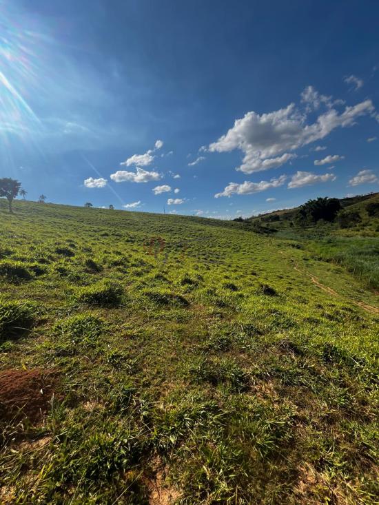 fazenda-venda-fazenda-araras-bambui-mg-1105301