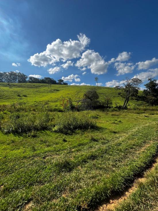 fazenda-venda-fazenda-araras-bambui-mg-1105302