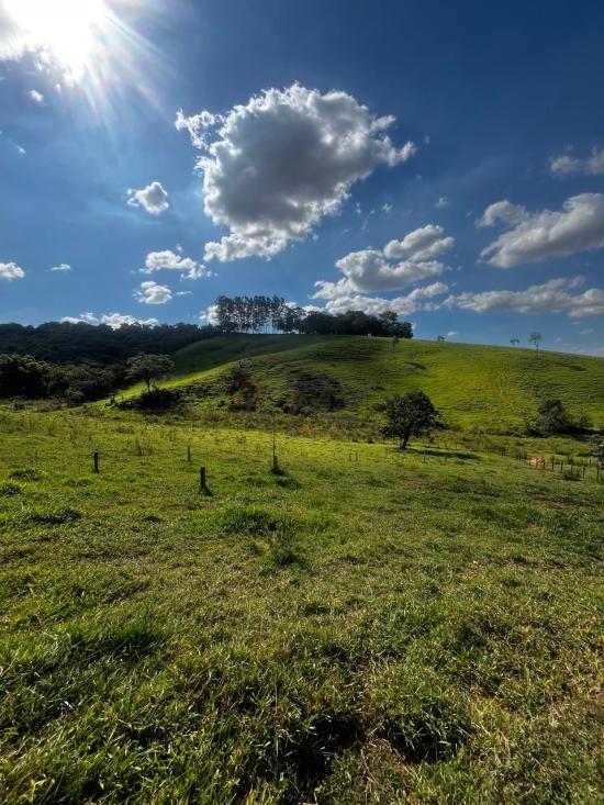 fazenda-venda-fazenda-araras-bambui-mg-1105314