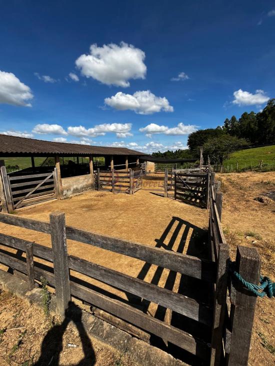 fazenda-venda-fazenda-araras-bambui-mg-1105326