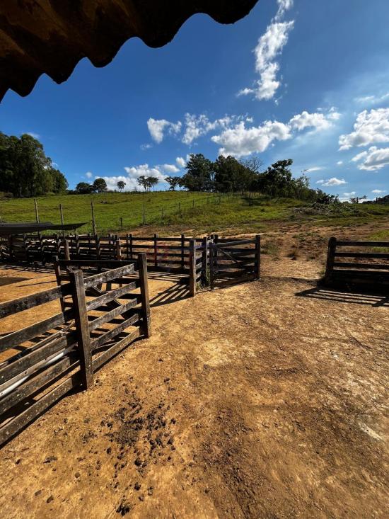 fazenda-venda-fazenda-araras-bambui-mg-1105328