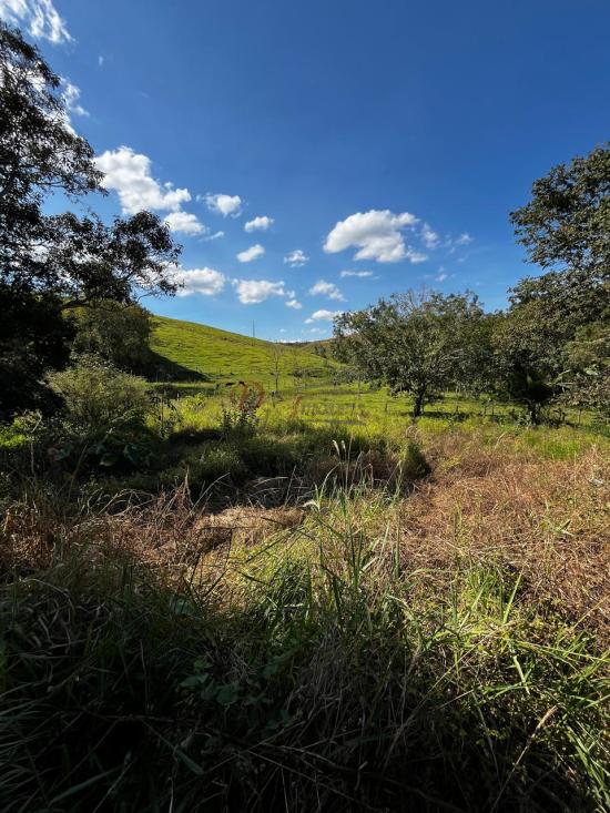 fazenda-venda-fazenda-araras-bambui-mg-1105318