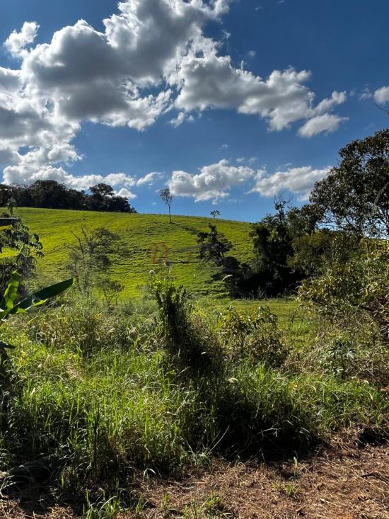 fazenda-venda-fazenda-araras-bambui-mg-1105322