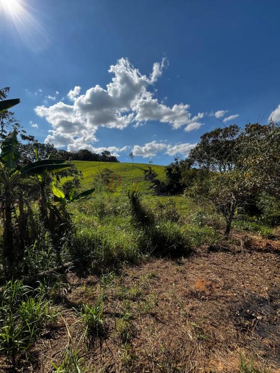 fazenda-venda-fazenda-araras-bambui-mg-1105323
