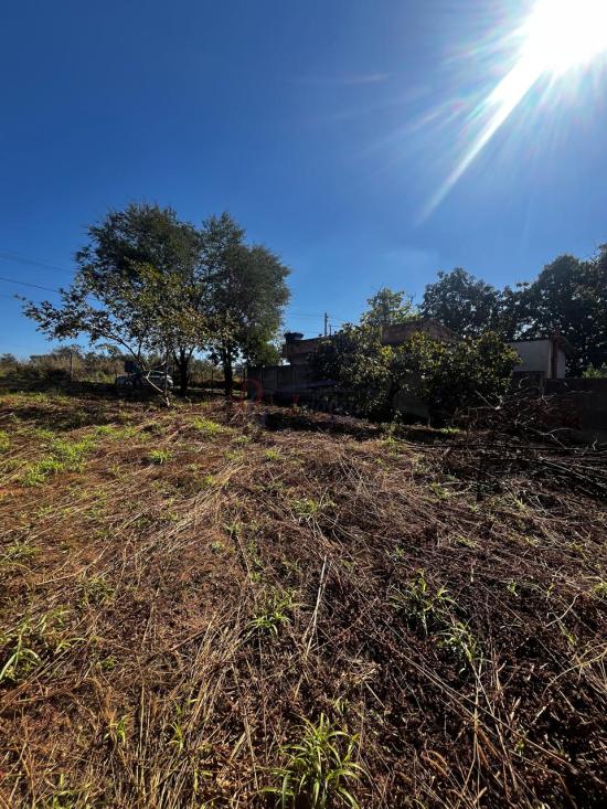 lote-venda-francelinos-juatuba-1122118