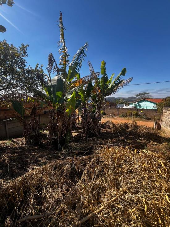 lote-venda-francelinos-juatuba-1122121