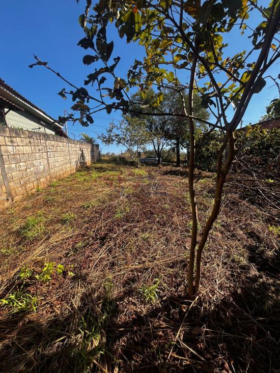 lote-venda-francelinos-juatuba-1122122