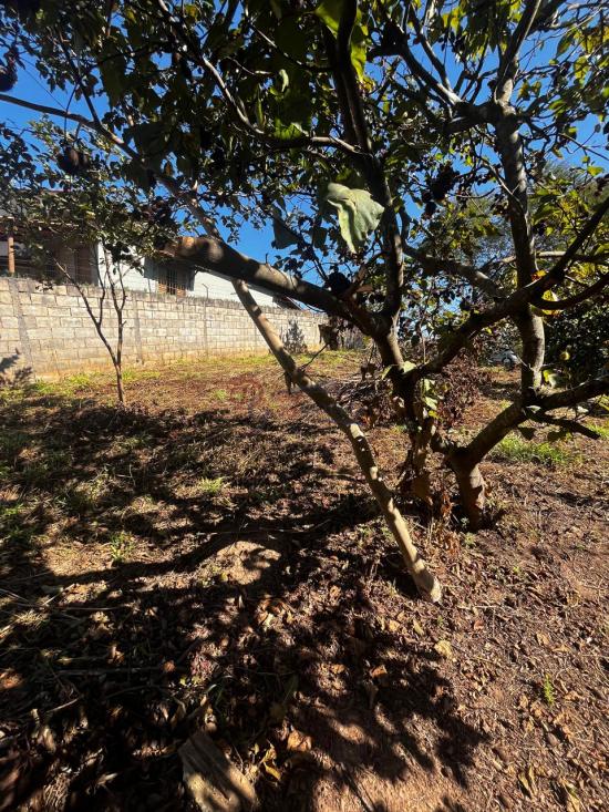 lote-venda-francelinos-juatuba-1122123