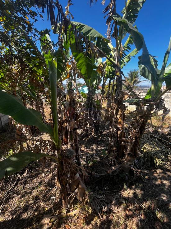 lote-venda-francelinos-juatuba-1122124