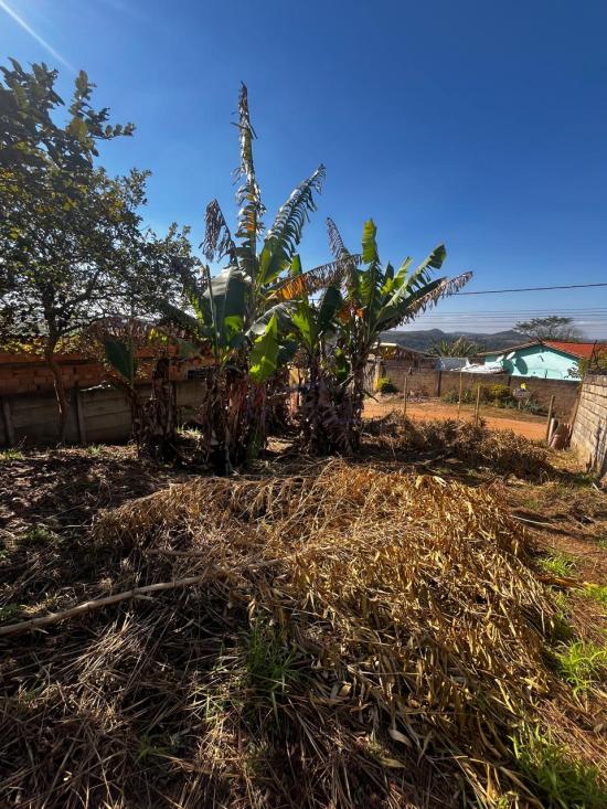 lote-venda-francelinos-juatuba-1122126